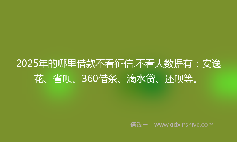 2025年的哪里借款不看征信,不看大数据有：安逸花、省呗、360借条、滴水贷、还呗等。