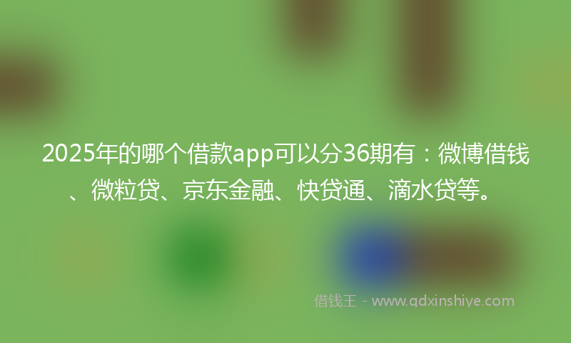 2025年的哪个借款app可以分36期有：微博借钱、微粒贷、京东金融、快贷通、滴水贷等。