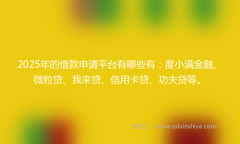 2025年的借款申请平台有哪些有：度小满金融、微粒贷、我来贷、信用卡贷、功夫贷等。