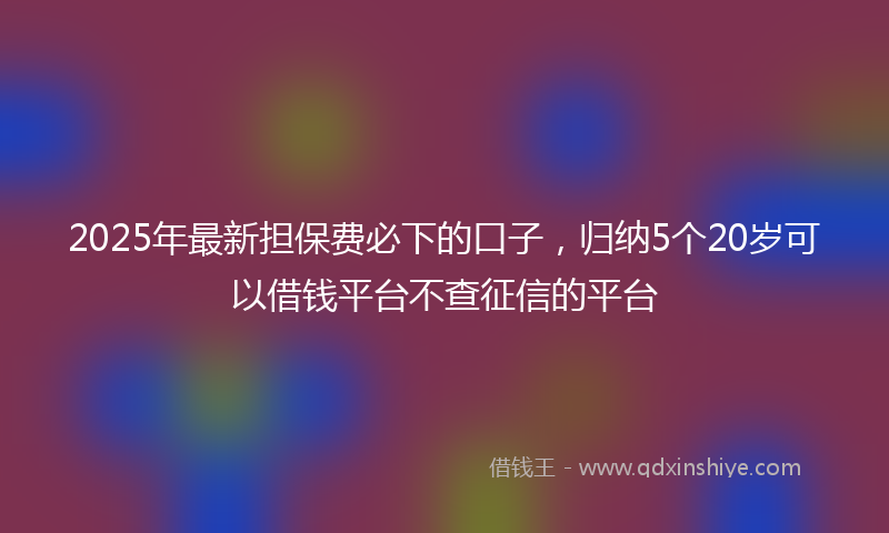 2025年最新担保费必下的口子，归纳5个20岁可以借钱平台不查征信的平台
