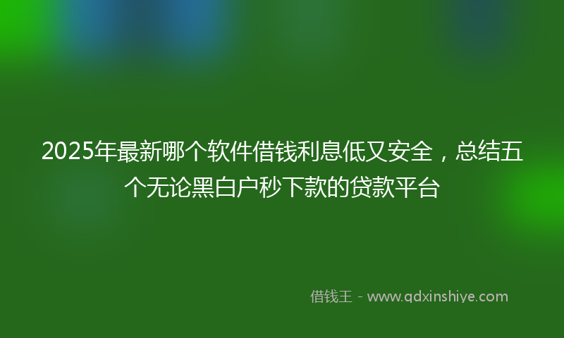 2025年最新哪个软件借钱利息低又安全，总结五个无论黑白户秒下款的贷款平台