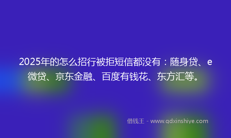 2025年的怎么招行被拒短信都没有：随身贷、e微贷、京东金融、百度有钱花、东方汇等。