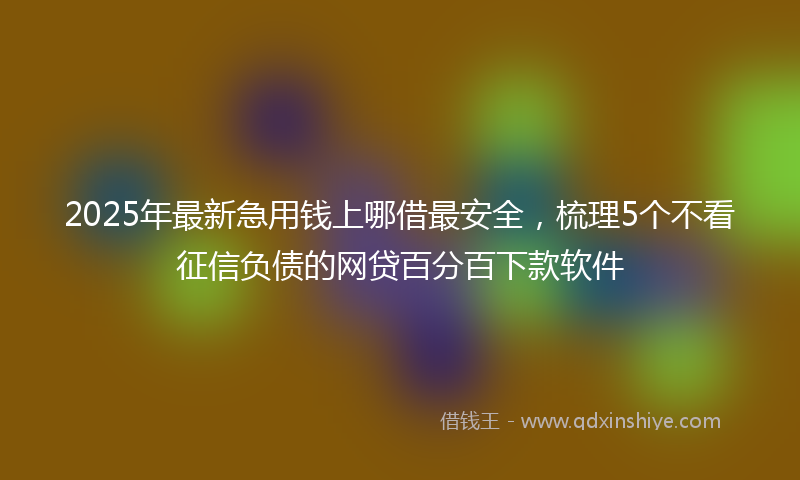 2025年最新急用钱上哪借最安全，梳理5个不看征信负债的网贷百分百下款软件
