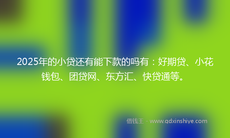 2025年的小贷还有能下款的吗有：好期贷、小花钱包、团贷网、东方汇、快贷通等。