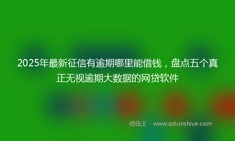 2025年最新征信有逾期哪里能借钱，盘点五个真正无视逾期大数据的网贷软件
