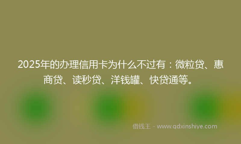 2025年的办理信用卡为什么不过有：微粒贷、惠商贷、读秒贷、洋钱罐、快贷通等。