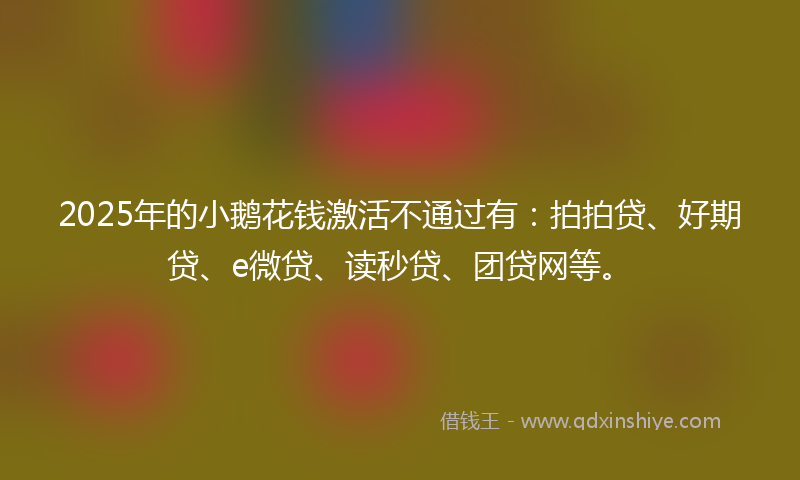 2025年的小鹅花钱激活不通过有：拍拍贷、好期贷、e微贷、读秒贷、团贷网等。