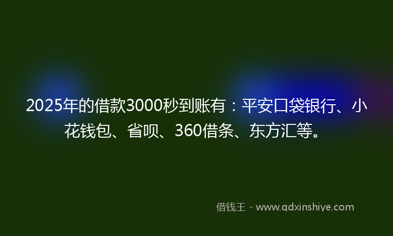 2025年的借款3000秒到账有：平安口袋银行、小花钱包、省呗、360借条、东方汇等。