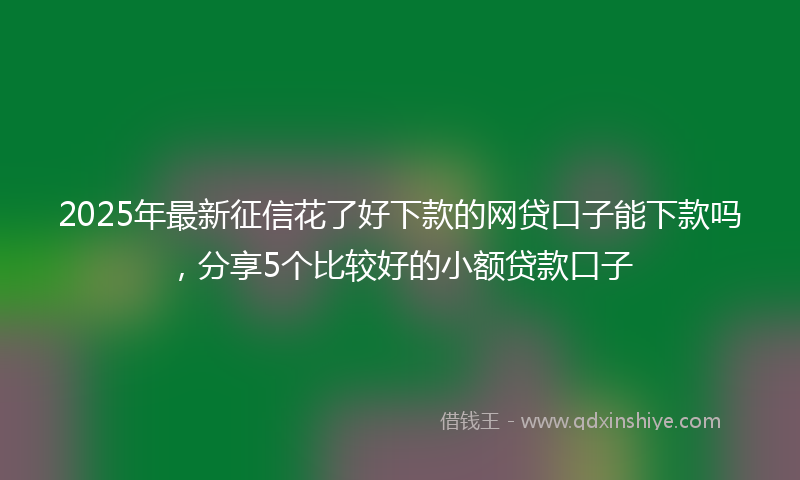 2025年最新征信花了好下款的网贷口子能下款吗，分享5个比较好的小额贷款口子