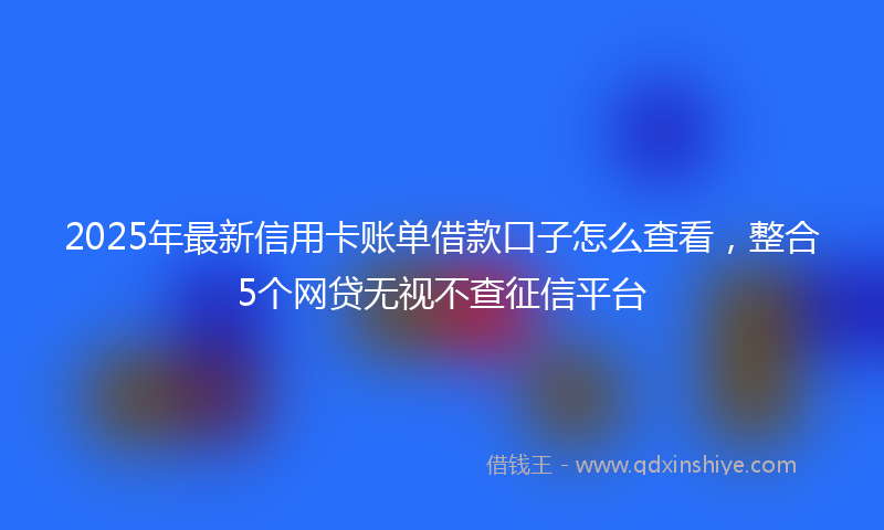 2025年最新信用卡账单借款口子怎么查看，整合5个网贷无视不查征信平台