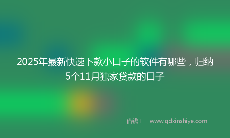 2025年最新快速下款小口子的软件有哪些，归纳5个11月独家贷款的口子