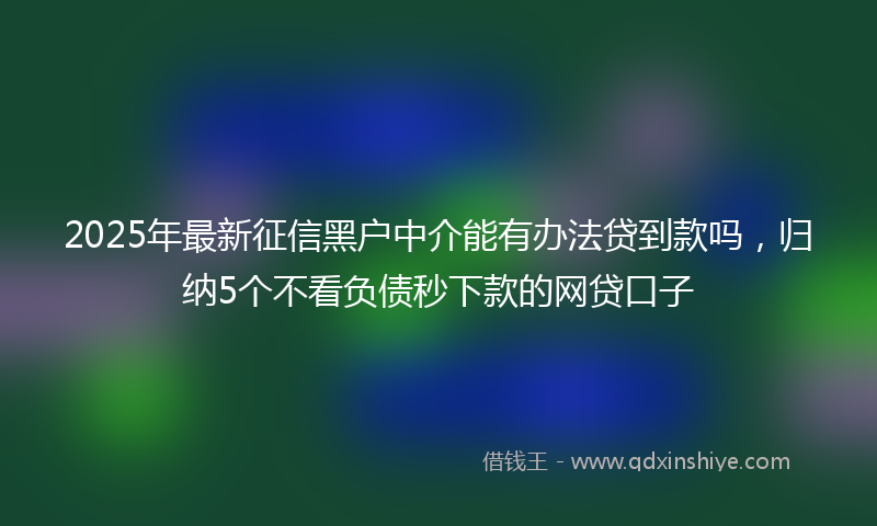 2025年最新征信黑户中介能有办法贷到款吗，归纳5个不看负债秒下款的网贷口子