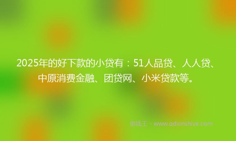 2025年的好下款的小贷有：51人品贷、人人贷、中原消费金融、团贷网、小米贷款等。
