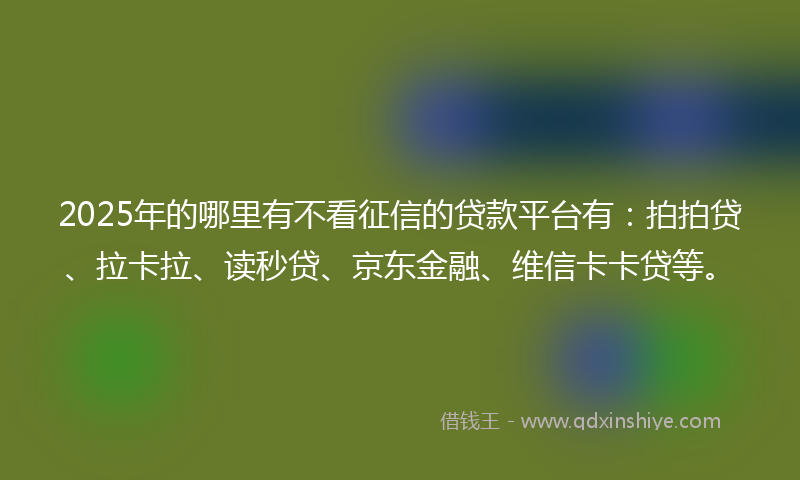 2025年的哪里有不看征信的贷款平台有：拍拍贷、拉卡拉、读秒贷、京东金融、维信卡卡贷等。