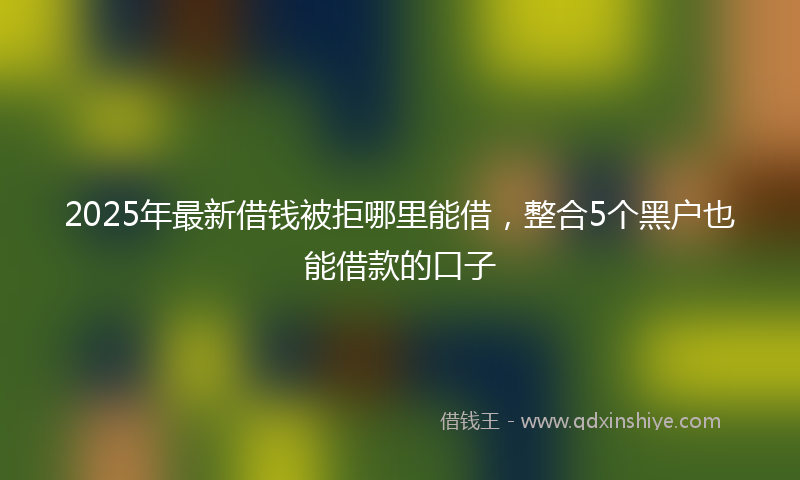 2025年最新借钱被拒哪里能借，整合5个黑户也能借款的口子