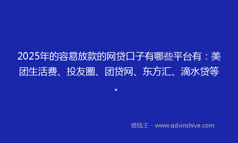 2025年的容易放款的网贷口子有哪些平台有：美团生活费、投友圈、团贷网、东方汇、滴水贷等。