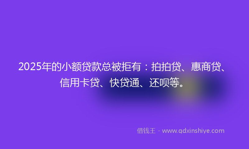 2025年的小额贷款总被拒有：拍拍贷、惠商贷、信用卡贷、快贷通、还呗等。