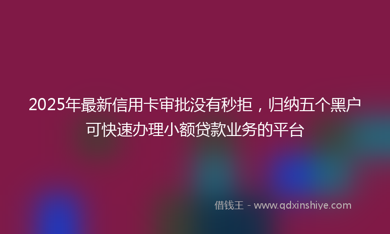 2025年最新信用卡审批没有秒拒，归纳五个黑户可快速办理小额贷款业务的平台