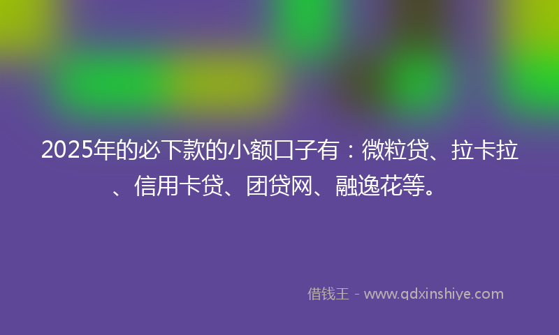 2025年的必下款的小额口子有：微粒贷、拉卡拉、信用卡贷、团贷网、融逸花等。