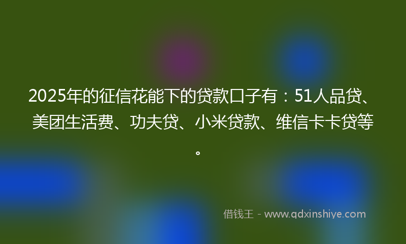 2025年的征信花能下的贷款口子有：51人品贷、美团生活费、功夫贷、小米贷款、维信卡卡贷等。