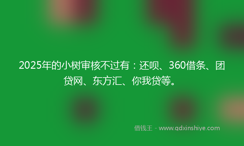 2025年的小树审核不过有：还呗、360借条、团贷网、东方汇、你我贷等。