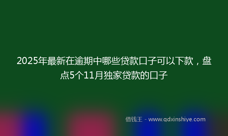 2025年最新在逾期中哪些贷款口子可以下款，盘点5个11月独家贷款的口子