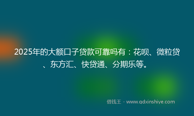 2025年的大额口子贷款可靠吗有：花呗、微粒贷、东方汇、快贷通、分期乐等。