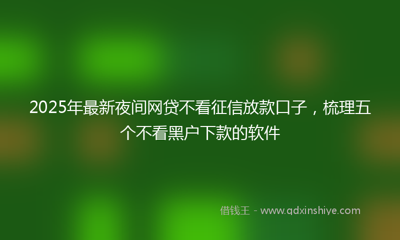 2025年最新夜间网贷不看征信放款口子，梳理五个不看黑户下款的软件