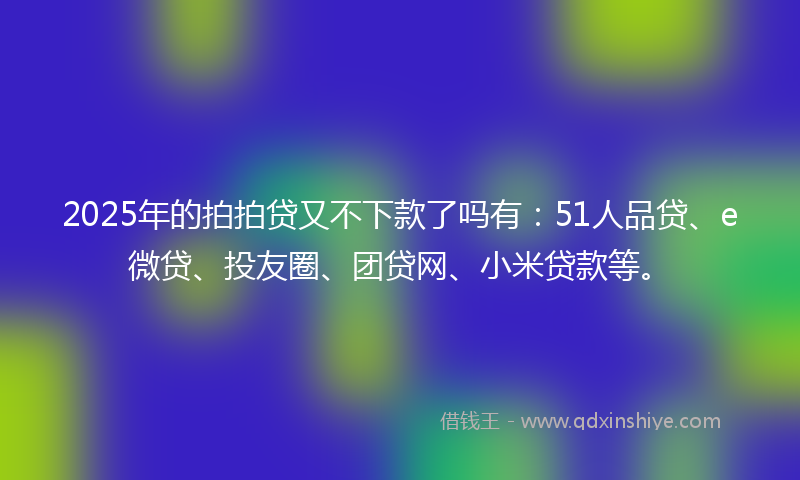 2025年的拍拍贷又不下款了吗有：51人品贷、e微贷、投友圈、团贷网、小米贷款等。