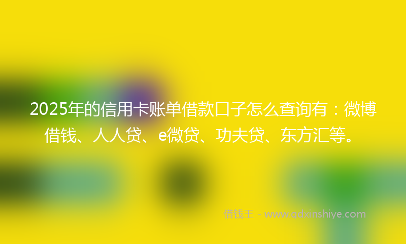 2025年的信用卡账单借款口子怎么查询有：微博借钱、人人贷、e微贷、功夫贷、东方汇等。