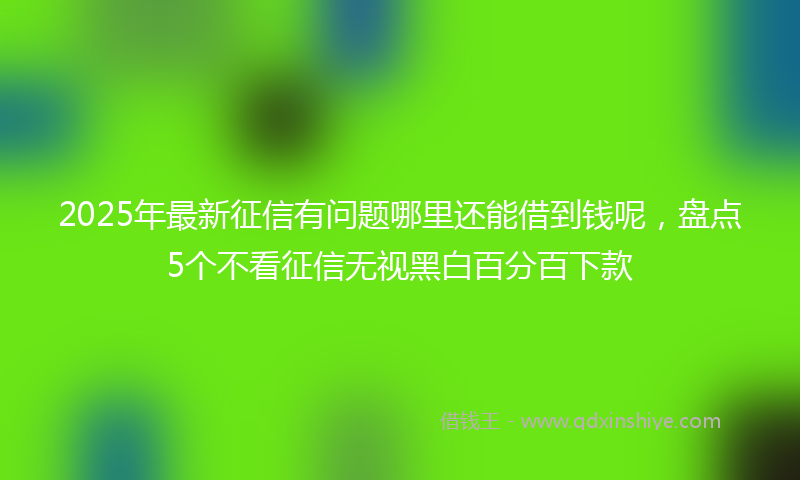 2025年最新征信有问题哪里还能借到钱呢，盘点5个不看征信无视黑白百分百下款
