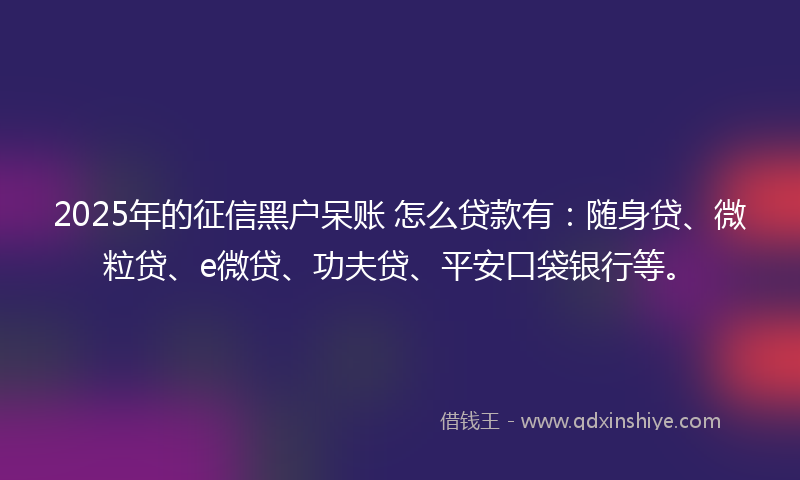 2025年的征信黑户呆账 怎么贷款有：随身贷、微粒贷、e微贷、功夫贷、平安口袋银行等。
