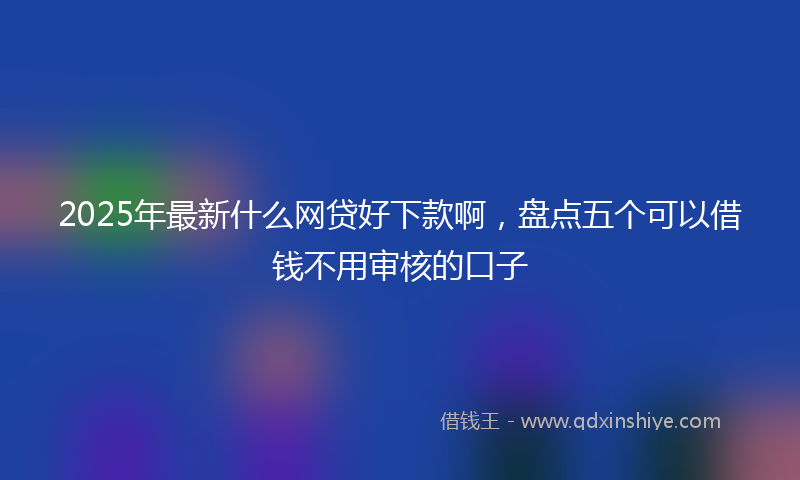 2025年最新什么网贷好下款啊，盘点五个可以借钱不用审核的口子