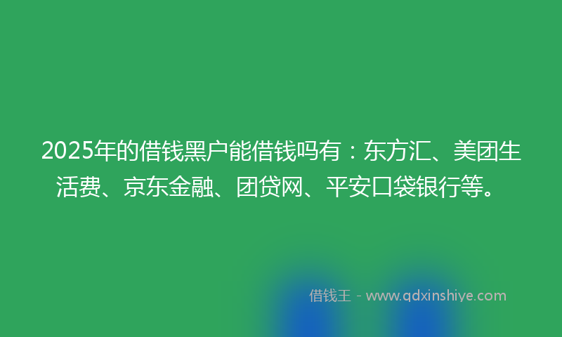 2025年的借钱黑户能借钱吗有：东方汇、美团生活费、京东金融、团贷网、平安口袋银行等。