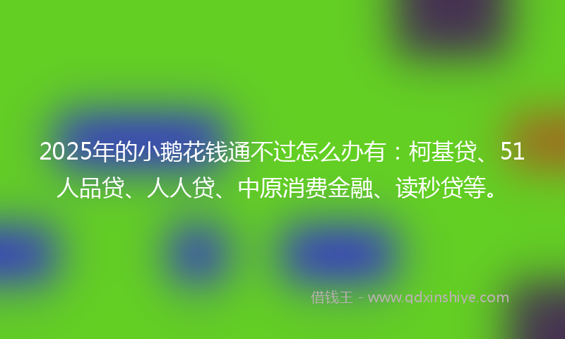 2025年的小鹅花钱通不过怎么办有：柯基贷、51人品贷、人人贷、中原消费金融、读秒贷等。