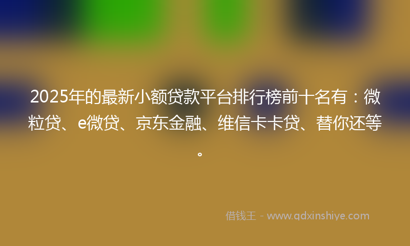 2025年的最新小额贷款平台排行榜前十名有：微粒贷、e微贷、京东金融、维信卡卡贷、替你还等。