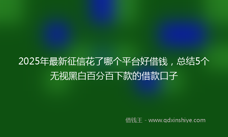 2025年最新征信花了哪个平台好借钱，总结5个无视黑白百分百下款的借款口子