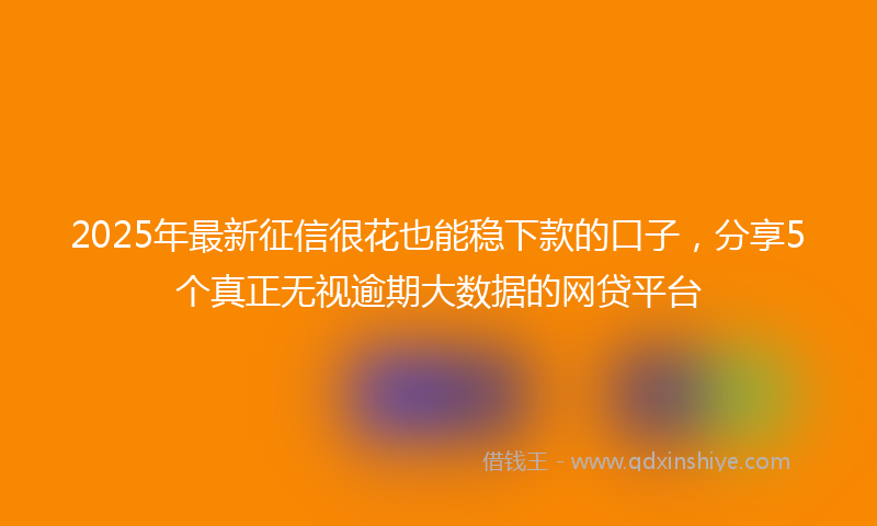 2025年最新征信很花也能稳下款的口子，分享5个真正无视逾期大数据的网贷平台
