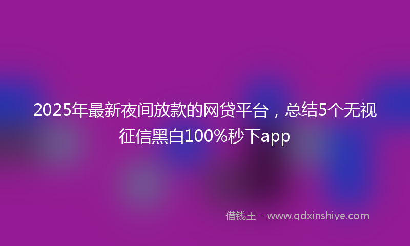 2025年最新夜间放款的网贷平台，总结5个无视征信黑白100%秒下app