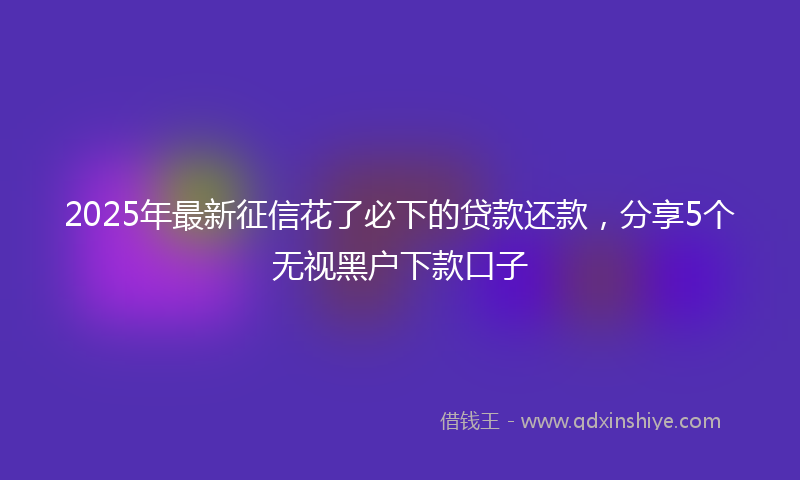 2025年最新征信花了必下的贷款还款，分享5个无视黑户下款口子