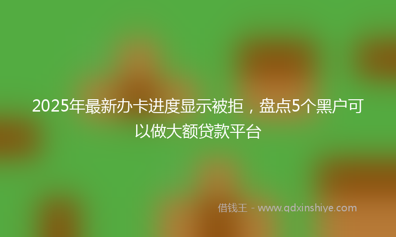 2025年最新办卡进度显示被拒，盘点5个黑户可以做大额贷款平台