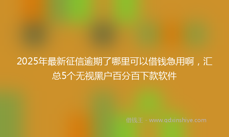 2025年最新征信逾期了哪里可以借钱急用啊，汇总5个无视黑户百分百下款软件