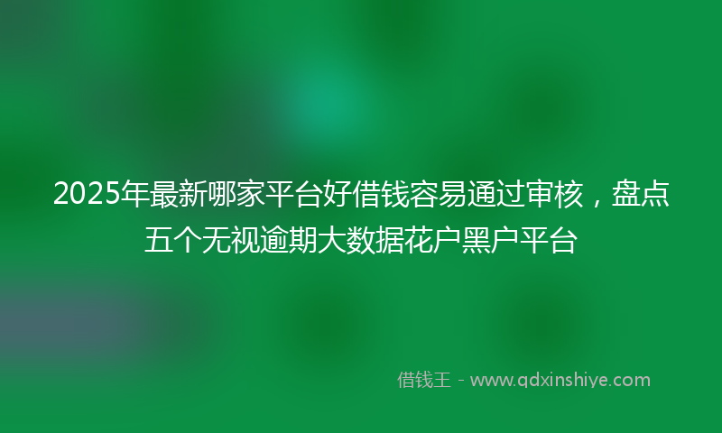 2025年最新哪家平台好借钱容易通过审核，盘点五个无视逾期大数据花户黑户平台