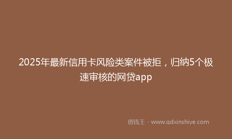 2025年最新信用卡风险类案件被拒，归纳5个极速审核的网贷app
