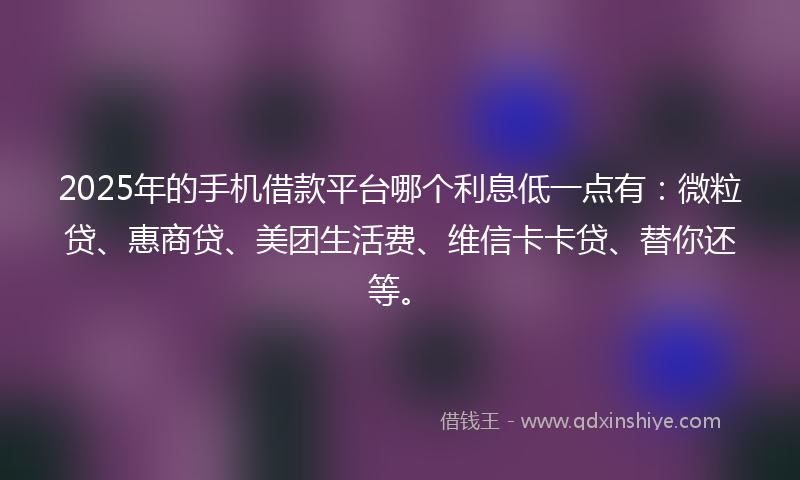 2025年的手机借款平台哪个利息低一点有：微粒贷、惠商贷、美团生活费、维信卡卡贷、替你还等。