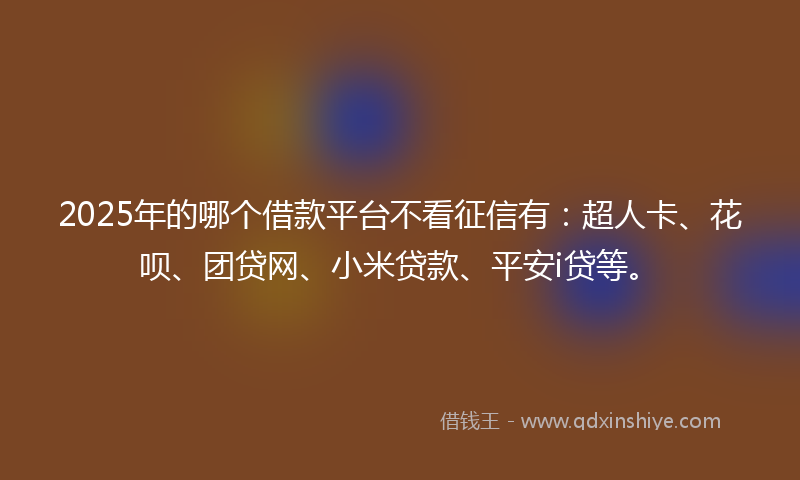 2025年的哪个借款平台不看征信有：超人卡、花呗、团贷网、小米贷款、平安i贷等。