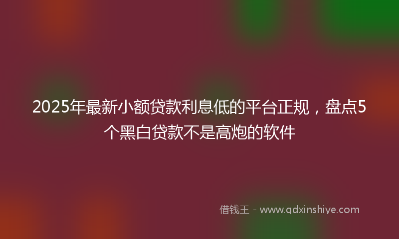 2025年最新小额贷款利息低的平台正规，盘点5个黑白贷款不是高炮的软件