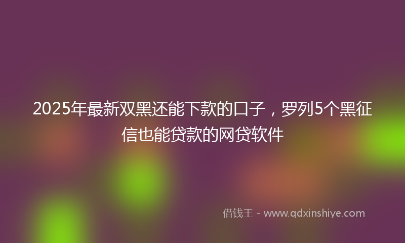 2025年最新双黑还能下款的口子，罗列5个黑征信也能贷款的网贷软件