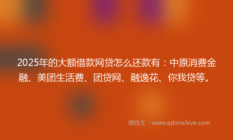 2025年的大额借款网贷怎么还款有：中原消费金融、美团生活费、团贷网、融逸花、你我贷等。