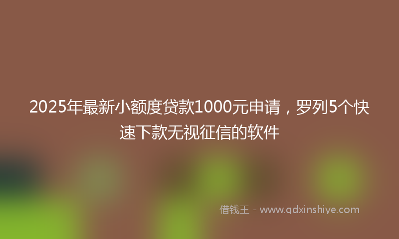 2025年最新小额度贷款1000元申请，罗列5个快速下款无视征信的软件